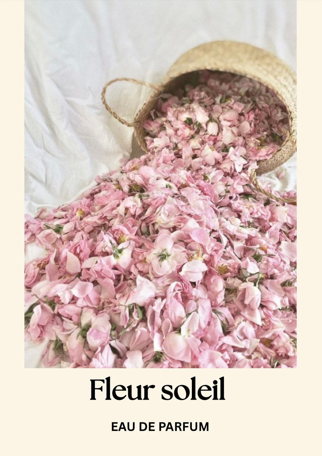 FLEUR SOLEIL